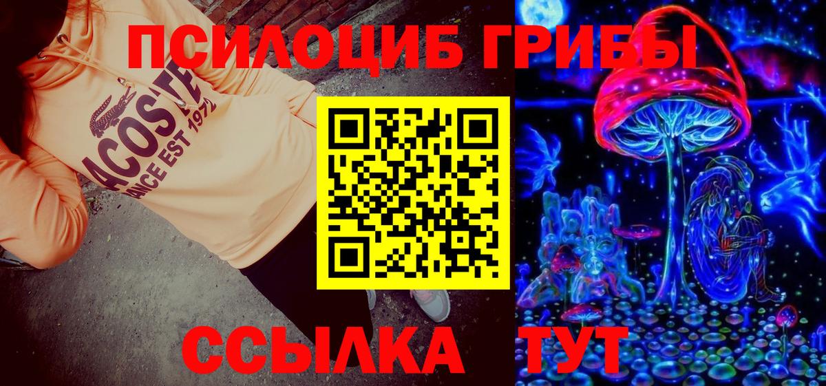 Галлюциногенные грибы Cubensis Зеленокумск