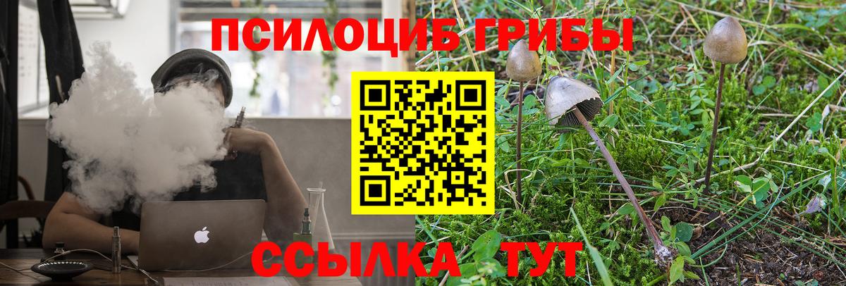 Галлюциногенные грибы ЛСД  Вход с VPN  Псилоцибиновые грибы Cubensis  где купить наркоту  Зеленокумск 
